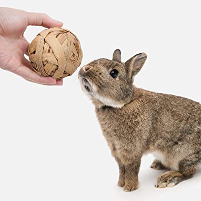 Niteangel Small Animal Trio of Fun Balls Activity Toy