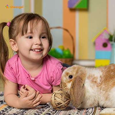 Niteangel Small Animal Trio of Fun Balls Activity Toy