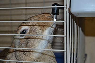 No Drip Small Animal Water Bottle. BPA Free