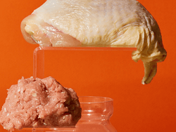 Smalls Freeze-Dried Raw Turkey