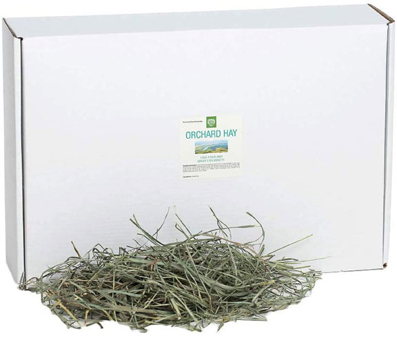 Small Pet Select Orchard Grass Hay Pet Food