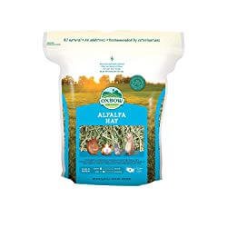 Oxbow Alfalfa Hay Small Animal Food