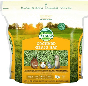 Oxbow Orchard Grass Hay Small Animal Food