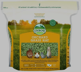 Oxbow Orchard Grass Hay Small Animal Food