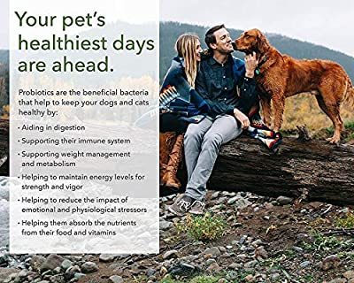 PRO-Pets Probiotics for Dogs and Cats