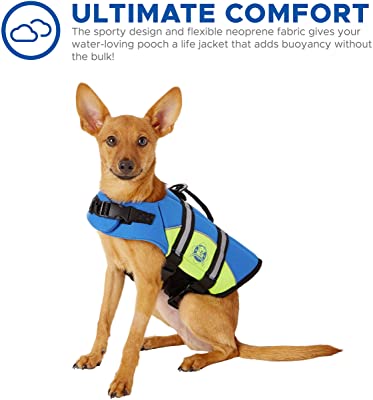 Paws Aboard Dog Life Jacket, Neoprene Dog Life Vest