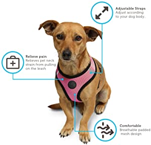 Paws & Pals Pet Control Harness