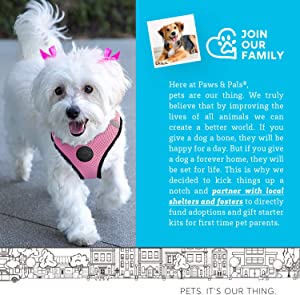 Paws & Pals Pet Control Harness
