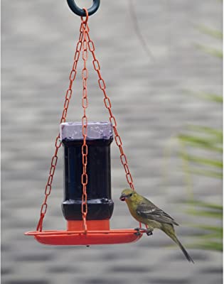 Perky-Pet 253 Oriole Jelly Wild Bird Feeder