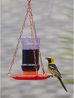 Perky-Pet 253 Oriole Jelly Wild Bird Feeder