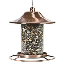 Perky-Pet Panorama Bird Feeder