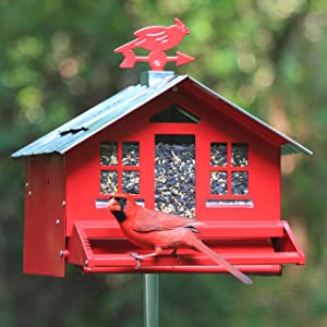 Perky-Pet Squirrel-Be-Gone II Country House Bird Feeder
