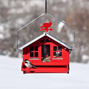 Perky-Pet Squirrel-Be-Gone II Country House Bird Feeder