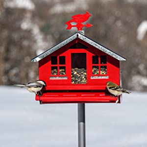 Perky-Pet Squirrel-Be-Gone II Country House Bird Feeder