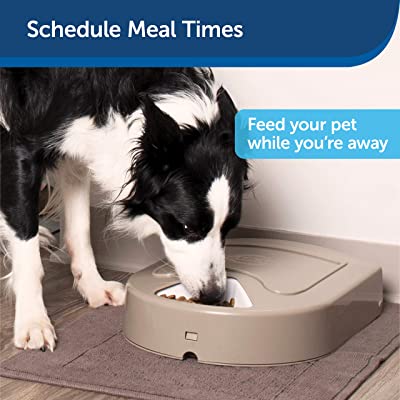PetSafe 5-Meal Automatic Feeder