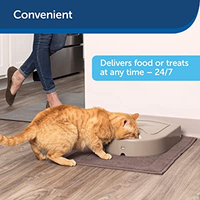 PetSafe 5-Meal Automatic Feeder