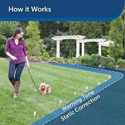 PetSafe Basic In-Ground Dog and Cat Fence