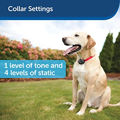PetSafe Basic In-Ground Dog and Cat Fence