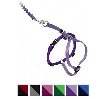 PetSafe Come With Me Kitty Nylon Cat Harness & Bungee Leash
