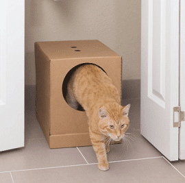 PetSafe Disposable Collapsible Litter Box
