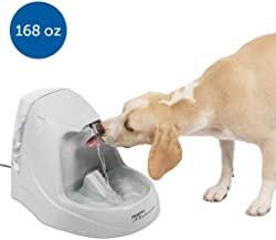 Drinkwell Platinum Plastic Dog & Cat Fountain