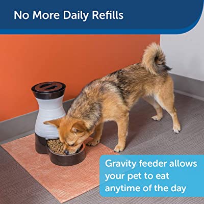 PetSafe Healthy Pet Food Station