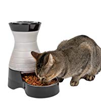 PetSafe Healthy Pet Food Station