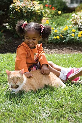 PetSafe Premium In-Ground Cat Fence