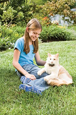 PetSafe Premium In-Ground Cat Fence