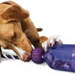 Busy Buddy Tug-A-Jug Treat Dispenser Tough Dog Chew Toy