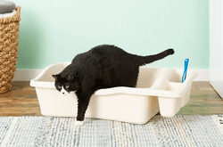 Petmate Giant Litter Pan for Cat