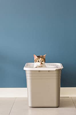 Petmate Top Entry Litter Pan Cat Litter Box