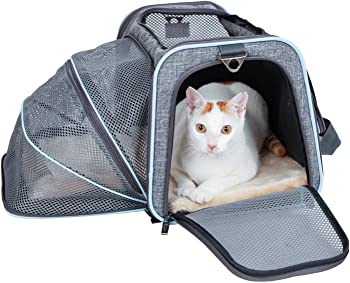 Petsfit Expandable Travel Carrier