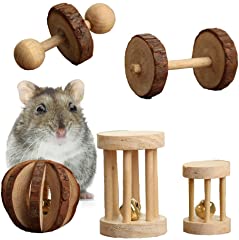 Pevor Pack of 5 Hamster Chew Toys