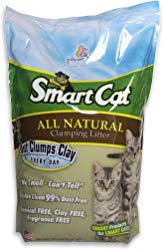 Pioneer Pet SmartCat Unscented Clumping Grass Cat Litter