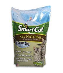 Pioneer Pet SmartCat Unscented Clumping Grass Cat Litter