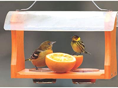 Birds Choice GSOF Bird Feeders