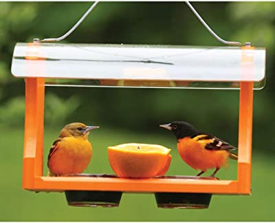 Birds Choice GSOF Bird Feeders