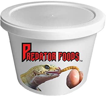 Predator Foods Bulk Live Mealworms