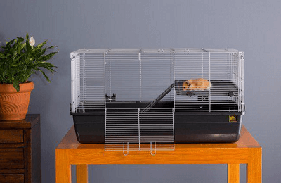 Prevue Pet Products Deluxe Small Animal Home