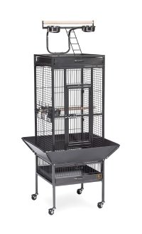 Prevue Pet Products Wrought Iron Select Bird Cage