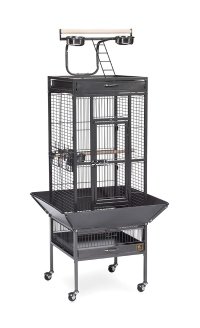 Prevue Hendryx Pet Products Wrought Iron Select Bird Cage