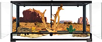 REPTI ZOO Reptile Glass Terrarium Tank