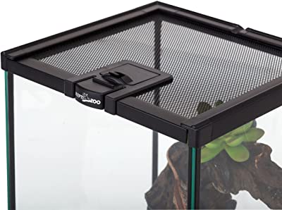 REPTIZOO Mini Reptile Glass Terrarium Tank