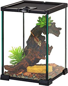REPTIZOO Mini Reptile Glass Terrarium Tank