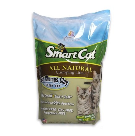 Pioneer Pet SmartCat Unscented Clumping Grass Cat Litter