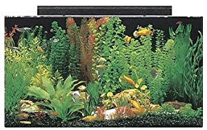 SeaClear Acrylic Aquarium Combo Set