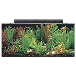 SeaClear 29 gal Show Acrylic Aquarium Combo Set