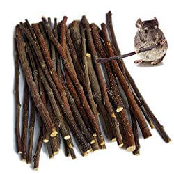 Sharllen Apple Sticks Chew Toys