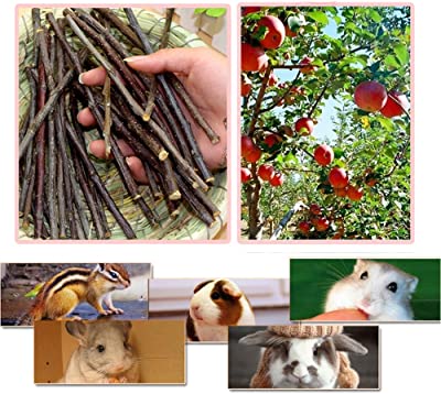 Sharllen Apple Sticks Chew Toys